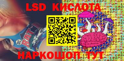 стаф Кимры