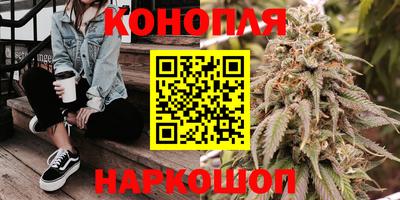 стаф Кимры