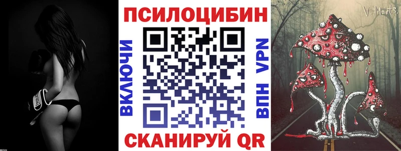 Псилоцибиновые грибы мицелий  где продают   Котельники 