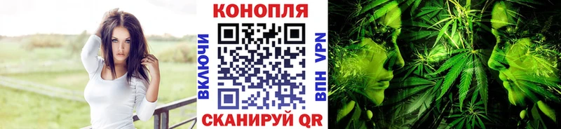 дарнет шоп  Котельники  МАРИХУАНА White Widow 
